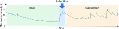 Depressive rumination and heart rate variability: A pilot study on the effect of biofeedback on rumination and its physiological concomitants
